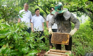 Đào tạo nghề - "Chìa khóa"  giảm nghèo ở vùng cao Sơn Động 